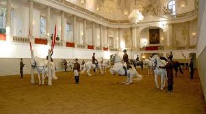 Spanish Riding School Morning Exercise Vienna Free Entry