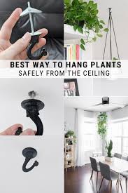 How To Hang A Planter From The Ceiling Toggle Bolt Installation Tips In 2020 Toggle Bolts Plant Decor Indoor Diy Garden Decor