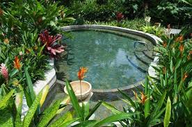 How to avoid hot tub rash. Removal Of Pseudomonas Folliculitis In A Residential Hot Tub Aqua Tech