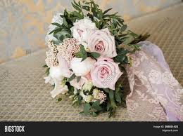 Dahlias are available in shades of white, pink, red, yellow. Elegant Refined Image Photo Free Trial Bigstock