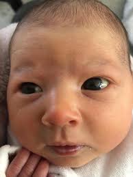 Meet 130 York babies born in lockdown