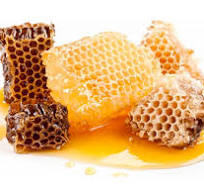 Мед в сотах