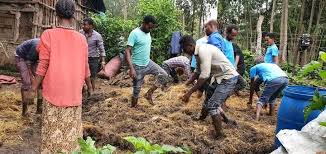 Jaarmiyaa Dargaggoota Tajaajila Dirqama lammummaa Gannaa  """"""""""""""""""""""""""""""""""""""""""""""""""""""""""'"""""""' Guyyaa  9/11/2014 Godina Shawaa kibba Lixaa Aanoolee garaagaraatti Jaarmiyaan  Dargaggoo hojii tajaajila lammummaa Gannaa ...