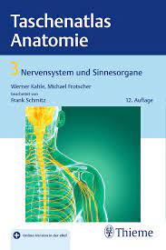 Lerne schritt für schritt die menschliche anatomie kennen und lass dich von den einzigartigen anatomischen zeichnungen. Taschenatlas Anatomie Band 3 Nervensystem Und Sinnesorgane 9783132422667 Thieme Webshop