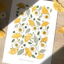 Marguerites Et Ginkgo Presses Art Des Fleurs Pressees Fleurs Diy Presser De Fleurs