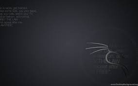 Choose the kali linux desktop wallpaper, you like and decorate your desktop, laptop or smartphone screen with them. 4k Desktop Kali Linux Wallpapers Wallpaper Cave