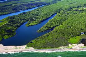 The Vineyard Gazette