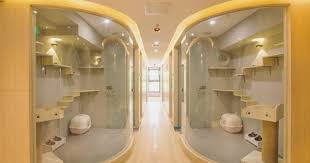 how to start a cat hotel chambre a theme chat chenil chat maison de chat