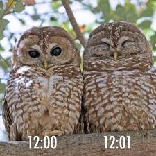 National Park Service