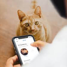 Maybe you would like to learn more about one of these? The Best Veterinary Telemedicine Services For Your Pet 2021 Wired