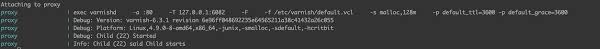 No Response From Varnish Docker Container Stack Overflow