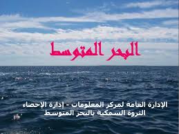 المحيط الأطلسي والمحيط الهادئ والمحيط المتجمد الشمالي والمحيط الهندي والمحيط الجنوبي. Ø§Ù„Ø¨Ø­Ø± Ø§Ù„Ù…ØªÙˆØ³Ø· Ø§Ù„Ø¥Ø¯Ø§Ø±Ø© Ø§Ù„Ø¹Ø§Ù…Ø© Ù„Ù…Ø±ÙƒØ² Ø§Ù„Ù…Ø¹Ù„ÙˆÙ…Ø§Øª Ø¥Ø¯Ø§Ø±Ø© Ø§Ù„Ø¥Ø­ØµØ§Ø¡ Ø§Ù„Ø«Ø±ÙˆØ© Ø§Ù„Ø³Ù…ÙƒÙŠØ© Ø¨Ø§Ù„Ø¨Ø­Ø± Ø§Ù„Ù…ØªÙˆØ³Ø· Ppt ØªÙ†Ø²ÙŠÙ„