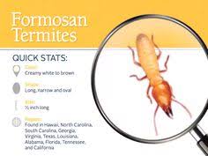 Take a look at ecola's termite and pest control comparison chart. Extreme Termite And Pest Control Extremetermiteandpestcontrol Profile Pinterest