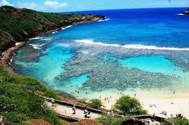 Hanauma bay is one of hawaii's absolute best areas for scuba diving and snorkeling. Hanauma Bay Nature Preserve Honolulu 2021 All You Need To Know Before You Go With Photos Tripadvisor