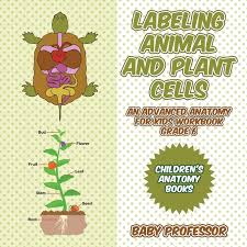 To demonstrate the difference between plant and animal cells. Labeling Animal And Plant Cells An Advanced Anatomy For Kids Workbook Grade 6 Children S Anatomy Books Professor Baby 9781541940390 Amazon Com Books