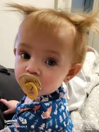 STEVEN KNOLL NEW YORK SHAKE & STRAIGHT HAIR PRIMER