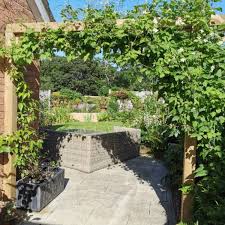 Check spelling or type a new query. Clematis Paul Farges Syn Clematis X Fargesioides Clematis Summer Snow Clematis Paul Farges Uploaded By Churchfarmgarden