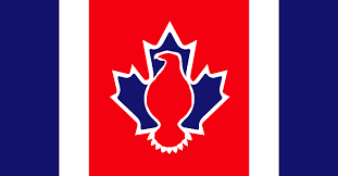Jul 23, 2021 · so, when it comes to american flag stores, your search ends here. Flag Of The American Canadian Union Vexillology