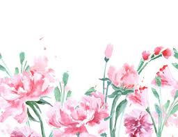 watercolour flower background clip art digital download png