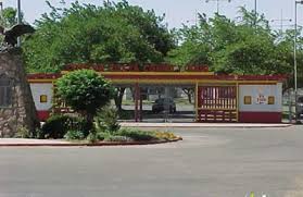 Randy d couch specializes in physical therapy, practices at 4041 lone tree way, phone number, opening hours, doctor nearby. Antioch Flea Market 1025 W 10th St Antioch Ca 94509 Yp Com