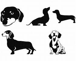 Black And White Dachshund Face Clipart Dachshund Svg Bundle Dachshund Svg Dachshund Face Svg Dachshund Silhouette Cute Dog Svg Weiner Dog Svg Dachshund Clipart In 2020 Dachshund Silhouette Weiner Dog Dachshund