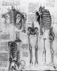 most of us are breathing through corrupted lungs risunki illyustracii leonardo da vinchi