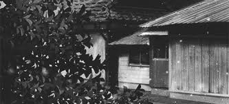 Black And White Anime Aesthetic Gif Https Encrypted Tbn0 Gstatic Com Images Q Tbn 3aand9gctyxkap Ts6rejetxa3crccol51qa0lq14qa Usqp Cau