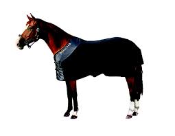 Therapeutic Fleece Horse Blanket Infrared Horse Blanket