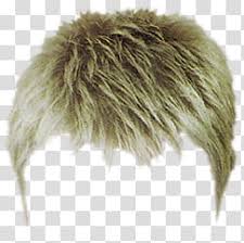 We've found three cool photos, and we are sure that you will. Brushes Man S Blonde Hair Transparent Background Png Clipart Hiclipart