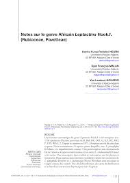 Image result for Leptactina platyphylla