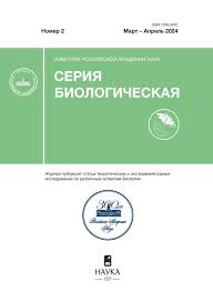 Image result for Alangiaceae