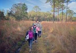 Neste post vamos sugerir 15 lugares para acampar em sp. 9 Best Spots To Go Camping In Tampa Bay Stuff To Do Unation City Guides