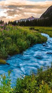 The great collection of colorado iphone wallpapers for desktop, laptop and mobiles. Usa Colorado River Flowers Mountains Sunset Clouds Summer 640x1136 Iphone 5 5s 5c Se Wallpaper Background Picture Image