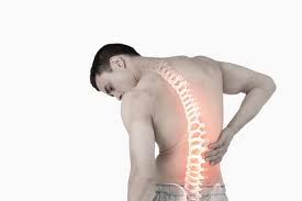 Image result for Back Pain Causes
