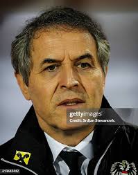 7,948 Koller Stock Photos, High-Res Pictures, and Images