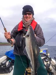 Flyfishing for Irish pollack “the best angling in the world”
