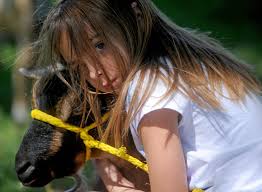 Albion summer camp plans building to honor Cassidy Charette