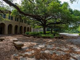 Check spelling or type a new query. How Much Cares Act Money Will Louisiana College Students Receive See Details Coronavirus Theadvocate Com
