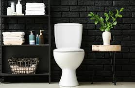 Votre cuvette de wc pourrai être plus propre ? Transformez Vos Wc En Toilettes Design Grace A La Couleur Espace Aubade