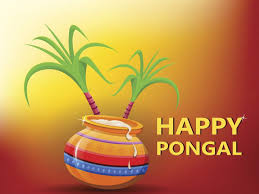 Happy Pongal 2021 Wishes Messages Quotes Images Facebook Whatsapp Status Times Of India Discover thousands of premium vectors available in ai and eps formats. happy pongal 2021 wishes messages
