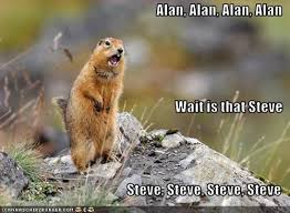 Alan Meme Animals Wild Animals Brown Bear