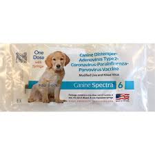 Pet shots express is a low cost veterinary clinic in canton, georgia. Canine Spectra Dog And Puppy Vaccines Animal Health Express