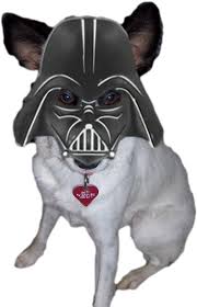 Explore 623989 free printable coloring pages for you can use our amazing online tool to color and edit the following darth vader coloring pages. Haven As Darth Vader Darth Vader Coloring Pages Full Size Png Download Seekpng