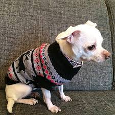 Schnittmuster kostenlos nähen schnittmuster halstuch nähen kapuzenschal stricken schal nähen haekeln kinder pullover stulpen bommel machen nähen für kinder kapuze jungs schnittchen. Chihuahua Pullover Hochwertige Hundebekleidung Susser Norweger Winterpulli Fur Kleine Hunde Grau Http A Kleine Hunde Hunde Bekleidung Hundebekleidung