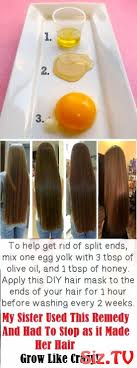 Diy Hair Growth Hair Growth Faster If You Use Eith Benefit Blow Classpintag Homemade Hair Products Homemade Hair Mask Hair Styles