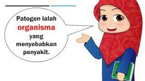 Pelan strategik panitia kimia new2017. Sains Tingkatan 2 Bab 4 Kesihatan Manusia Bahagian 1 Youtube