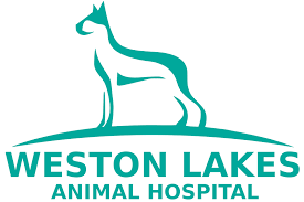 Melissa hanson have extensive experience at treating serious conditions and offering regular pet wellness care. Home