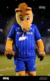 Tommy t hi-res stock photography and images