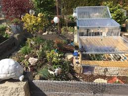 Newsletter 07 19 09 In 2020 Landschildkroten Aussengehege Bau