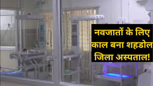 Madhya Pradesh : 4 newborn deaths in Shahdol district hospital within 24  hours : 24 घंटे के अंदर शहडोल जिला अस्पताल में 4 नवजात की मौत, मचा हड़कंप -  Navbharat Times